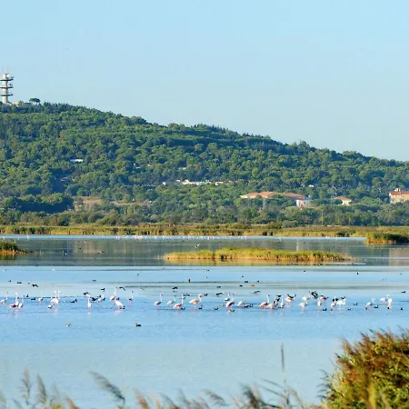 Le Sunset-cap Sud-7 By Interhome Appartamento